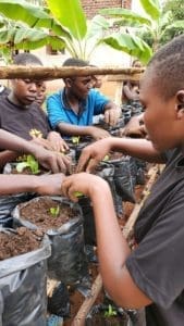 Planting